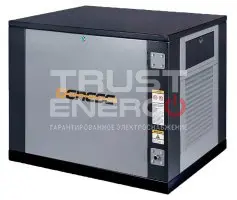 Газовый генератор Genese Standard 6250 Neva кожухе с АВР